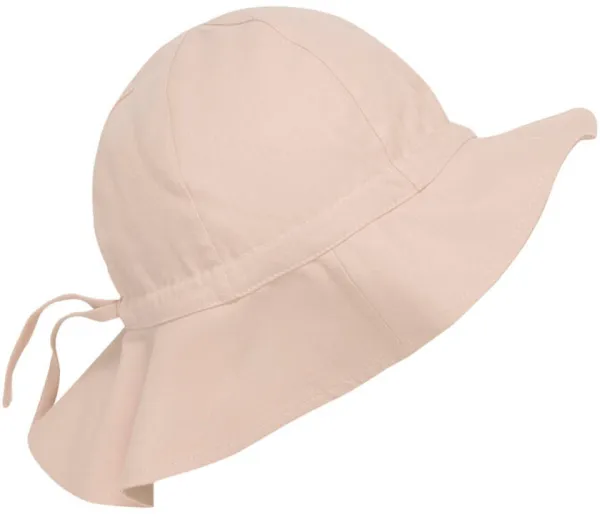 Sonnenhut - Mahogany Rose - 12-24 Monate